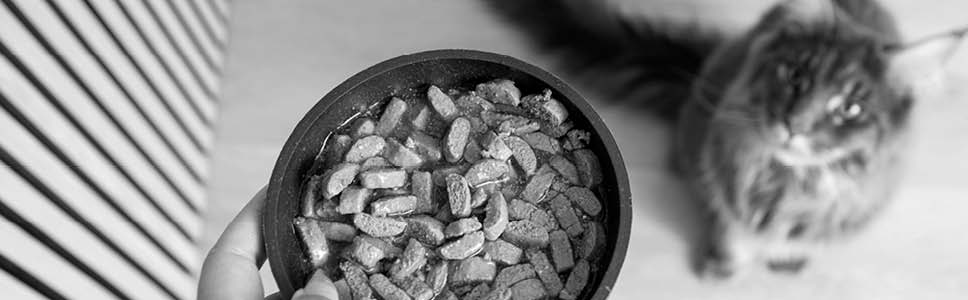 Vi tilbyder 100% tilfredshed