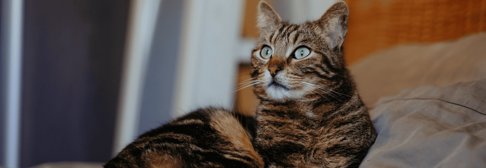 2024_04_18_A7208803 1.png