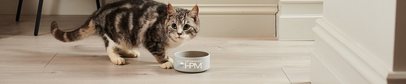 Opdag HPM kattefoder