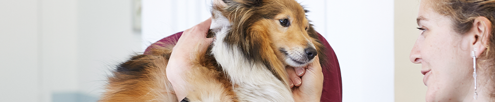 Praktisk informasjon til deg og din klinikk