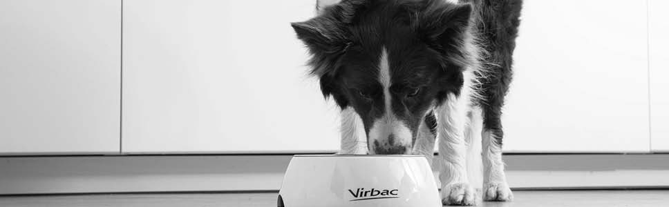 Læs mere om Virbacs foder til hunde med ledproblemer
