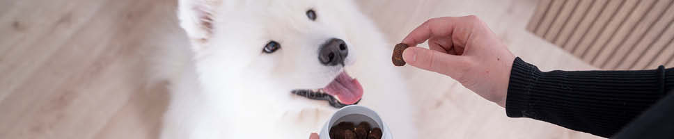 Movoflex tyggebidder