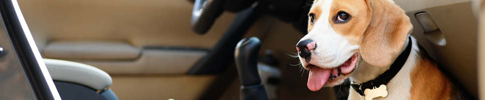 Her finder du flere rejsetips