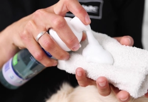Hand holding the cloth and Allerderm Foam