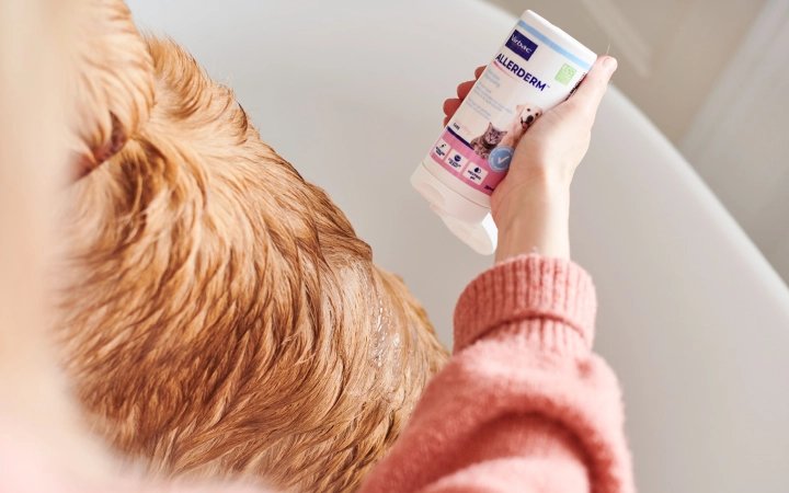 Dog wash with Allerderm