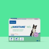 DK_SE_Anxitane_Unity-visual_6_2026.jpg