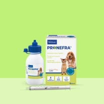 DK_SE_Pronefra-Oral-Suspension_Unity-visual_6_2026.jpg