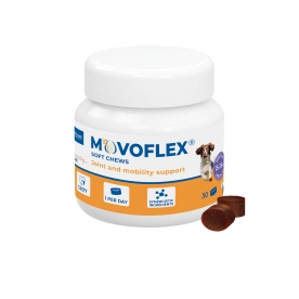 Movoflex dog