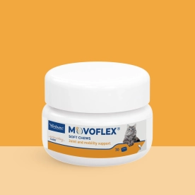 Movoflex Cat