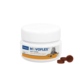Movoflex Cat