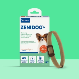 Zenidog collar