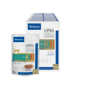 HPM Wet - early kidney cat