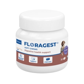 Floragest dog