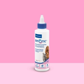 Epiotic