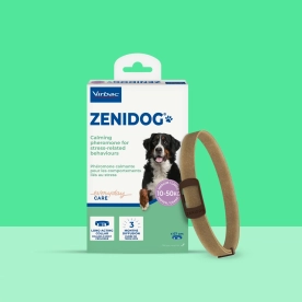 Zenidog collar